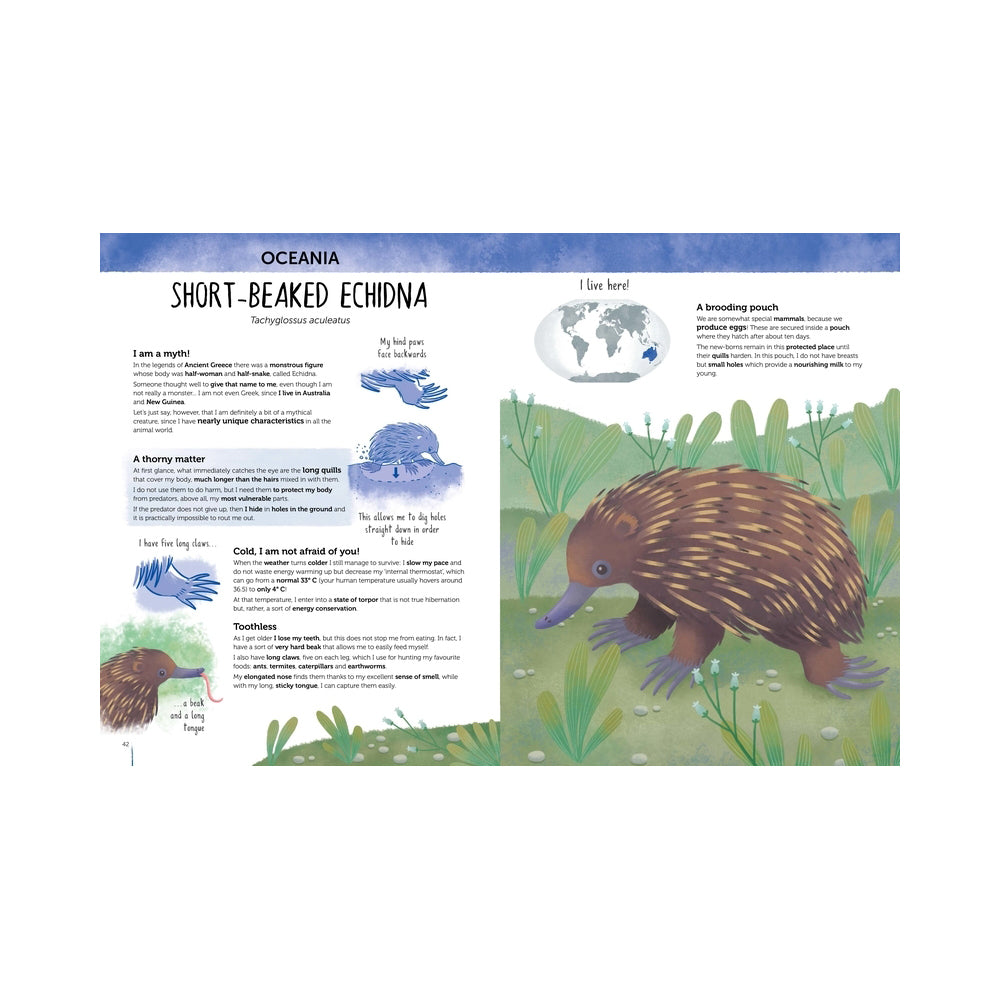 Sassi Atlas of Biodiversity Book Curious &Unusual Animals Kids/Children 6+