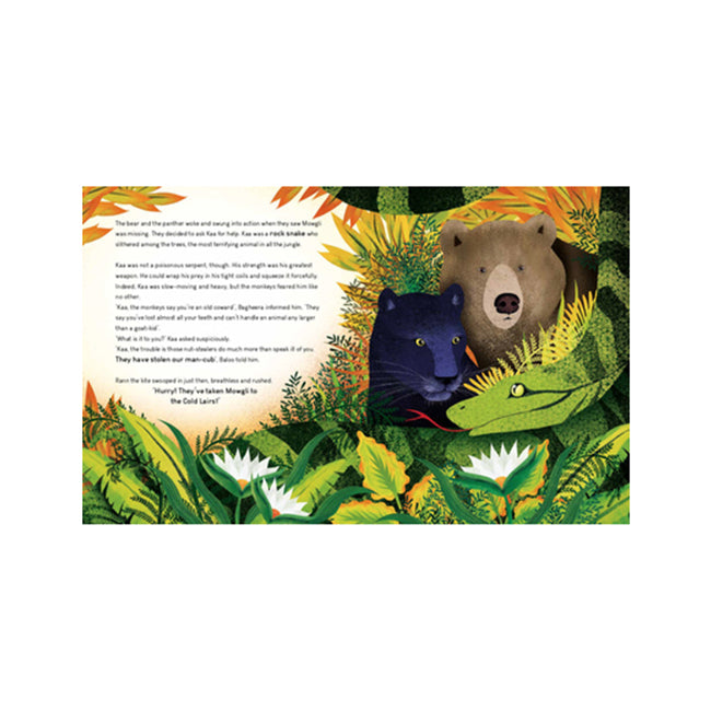 Sassi Story Book Kids/Children Learning The Jungle Book 5y+