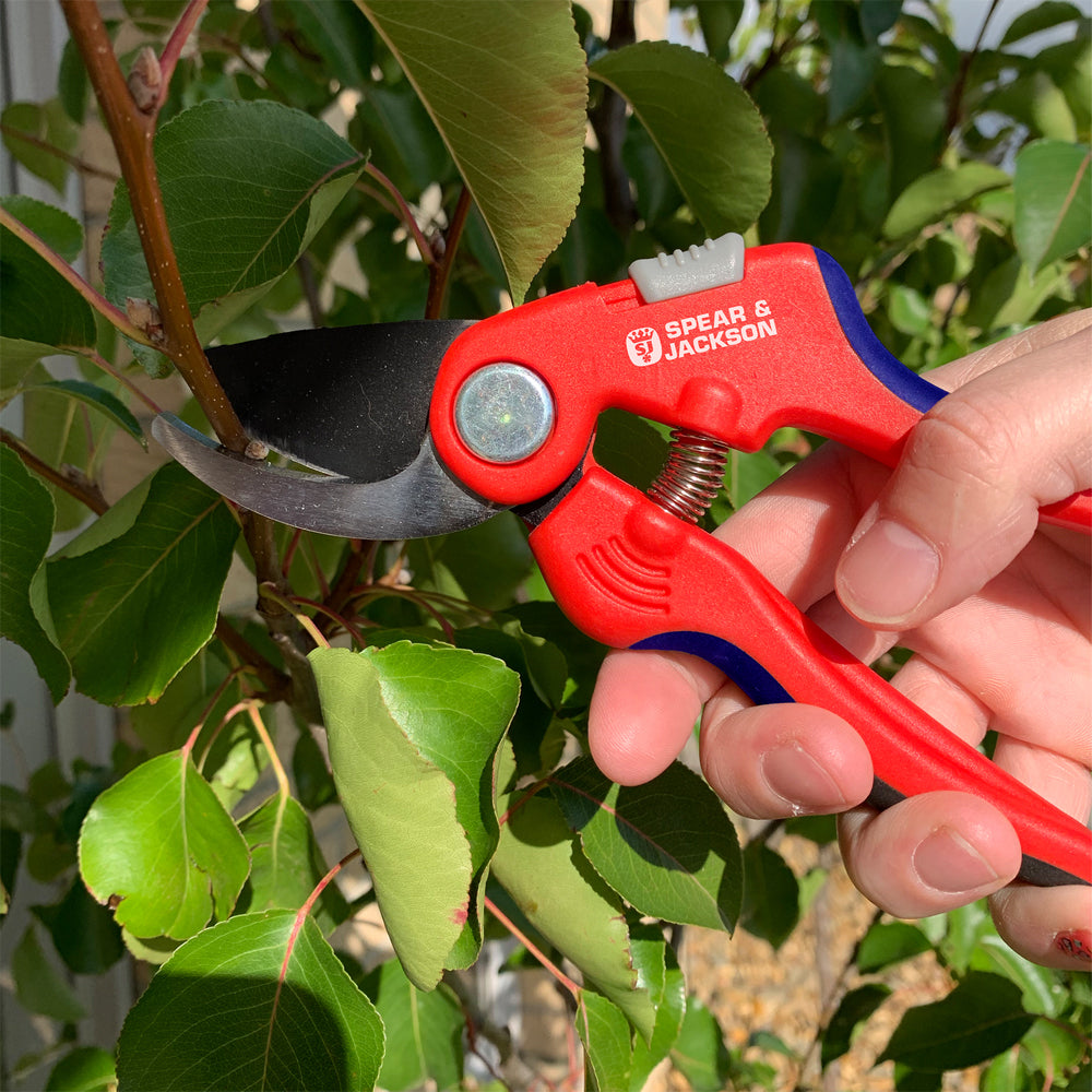 Spear & Jackson Razorsharp Active Bypass Secateur - Large