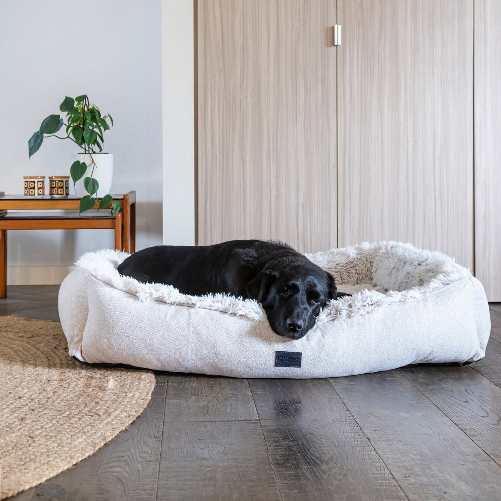 Superior Pet Plus Ortho Dog Lounger Aspen Faux Fur Jumbo