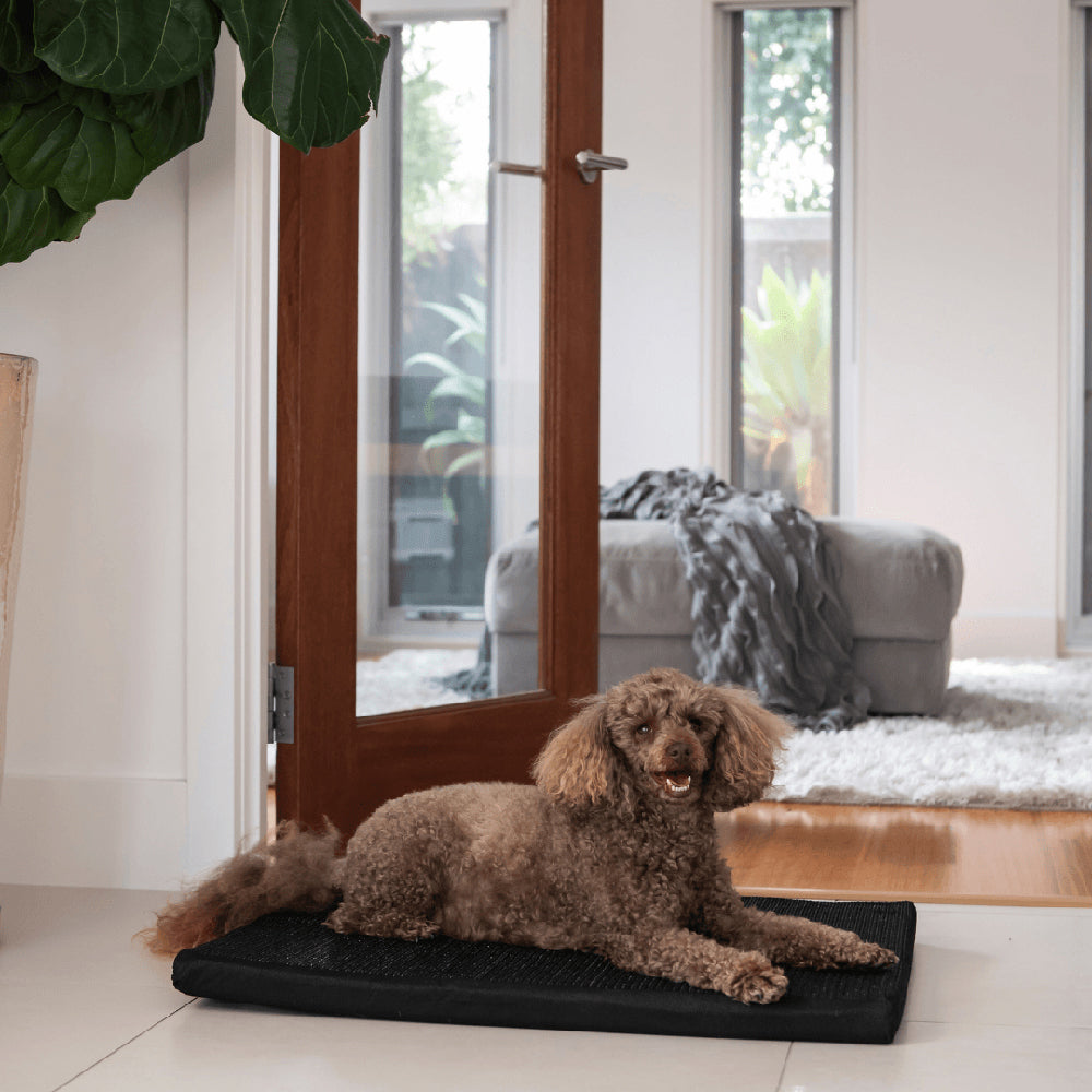Superior Pet Essentials Flea-Free Repellant Dog Mat Mini