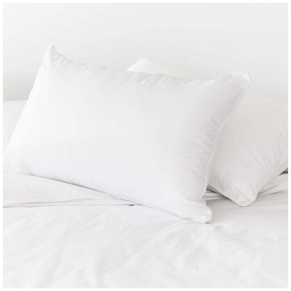 4PK Tontine Allergy Plus Pillow Medium Profile