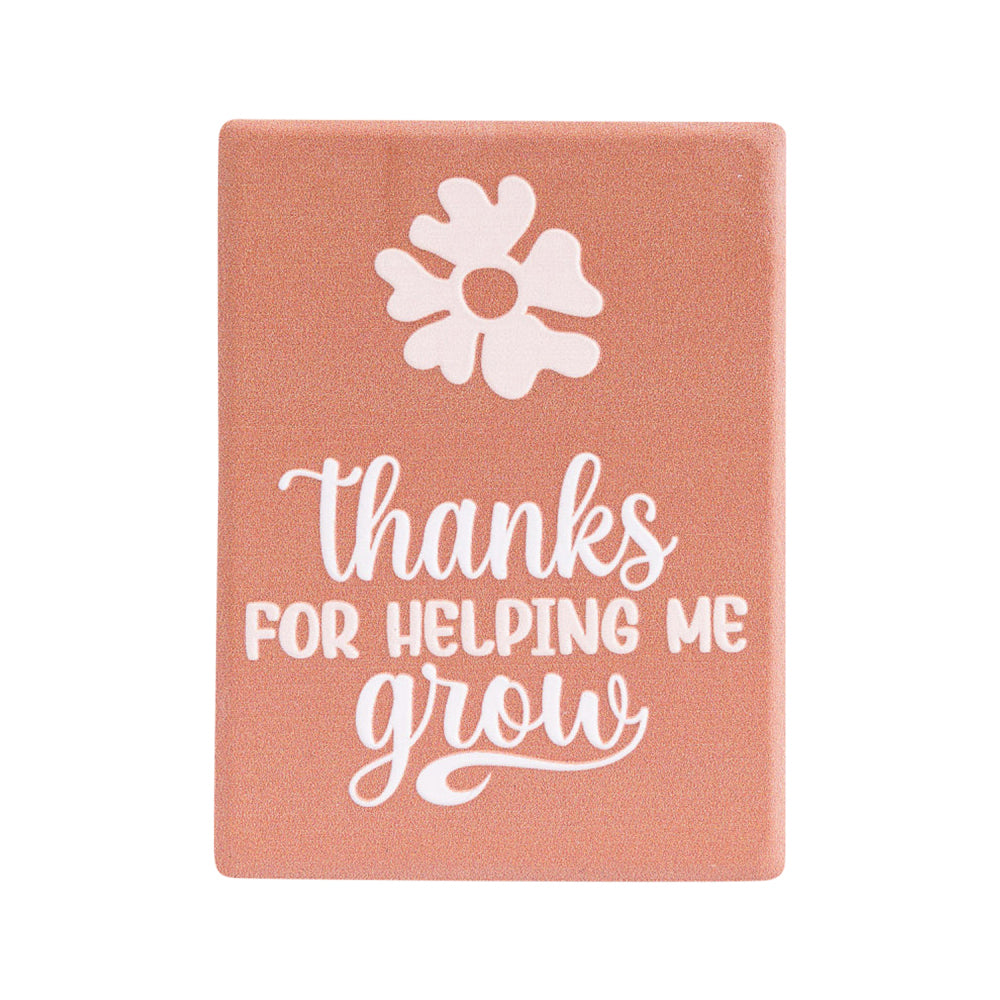 10PK Splosh Teacher Grow Ceramic Refrigerator Magnet 8cm