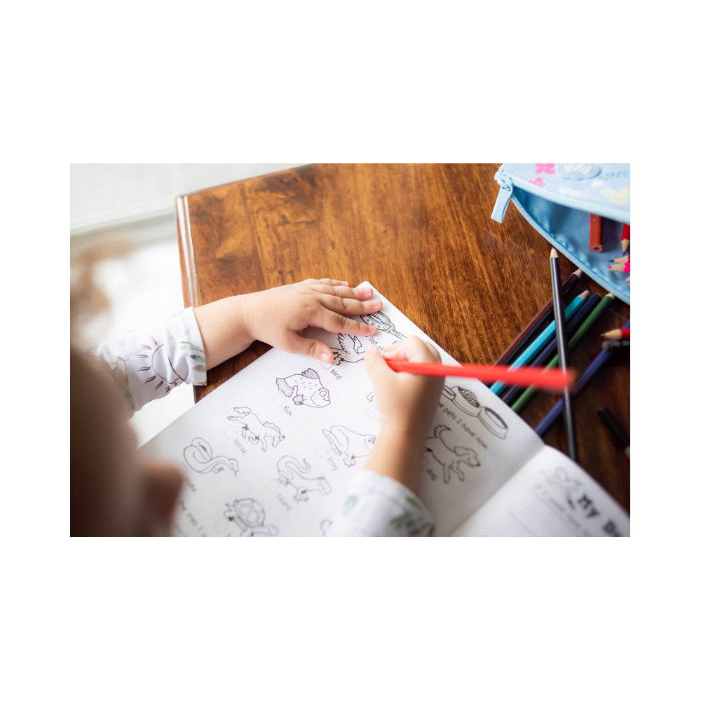 6PK Teacher Created Resources My Own All About Me Book Kindergarten 5y+