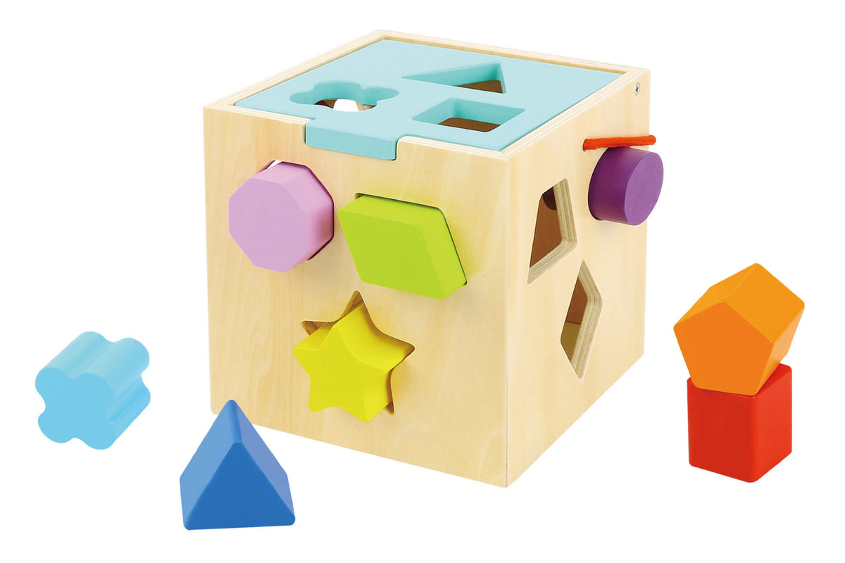 Tooky Toy Shape Sorter With 12 Pcs Wooden Blocks