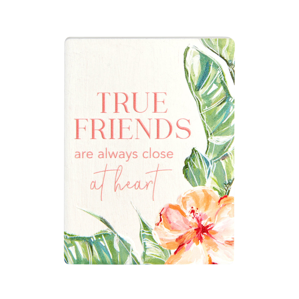 3PK Splosh Talulah True Friends Ceramic Magnet Fridge Decor Rectangle 8cm
