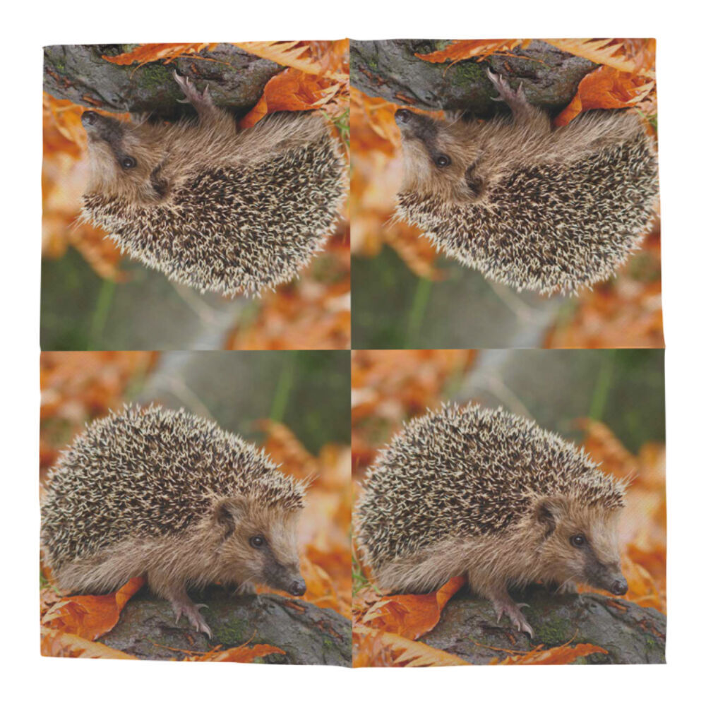 3x  20pc Esschert Design 3-Ply Tissue Paper Napkin Hedgehogs Large 33cm