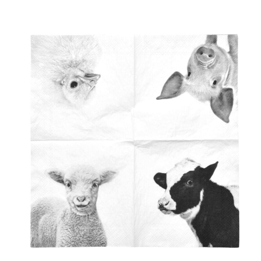 6PK Esschert Design Paper 3-ply Napkin Small Farm Animals Black/White