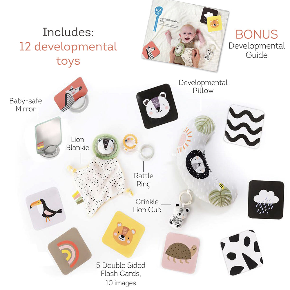 TAF Toys Newborn Develop & Play Kit Educational Baby Toy 0m+