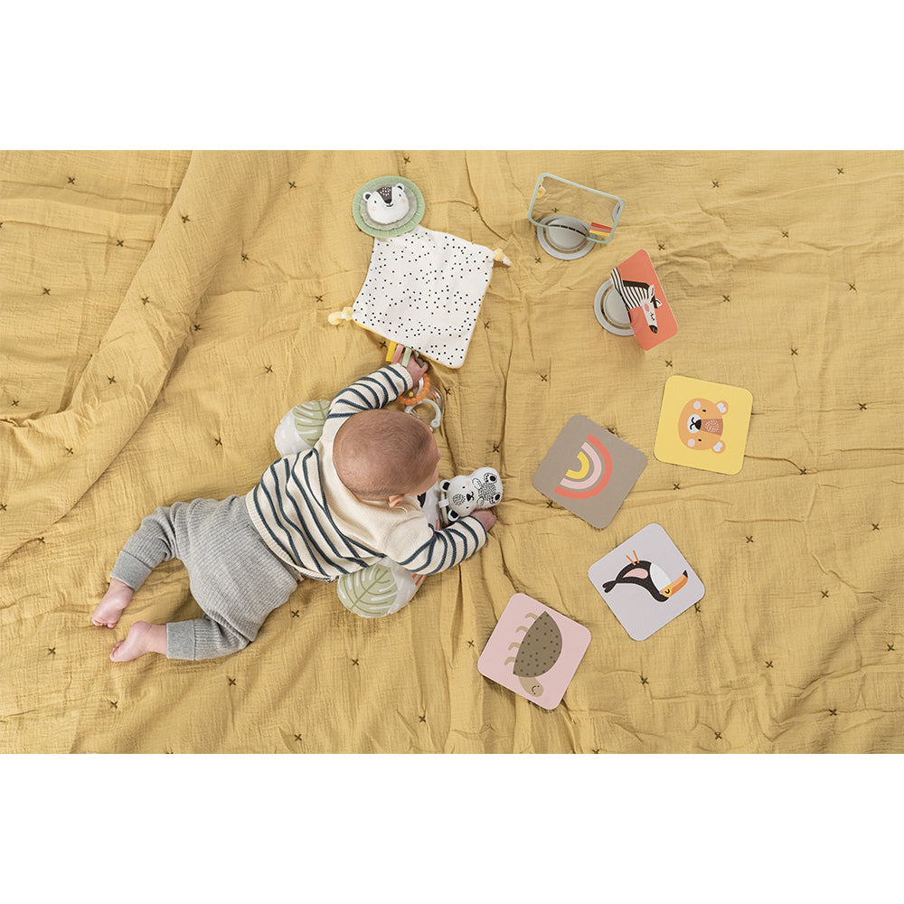 TAF Toys Newborn Develop & Play Kit Educational Baby Toy 0m+
