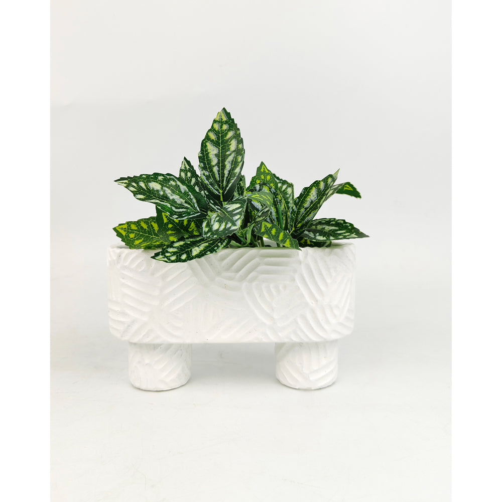 4x Urban Enola 20cm Concrete Long Planter Pot w/ Legs - White