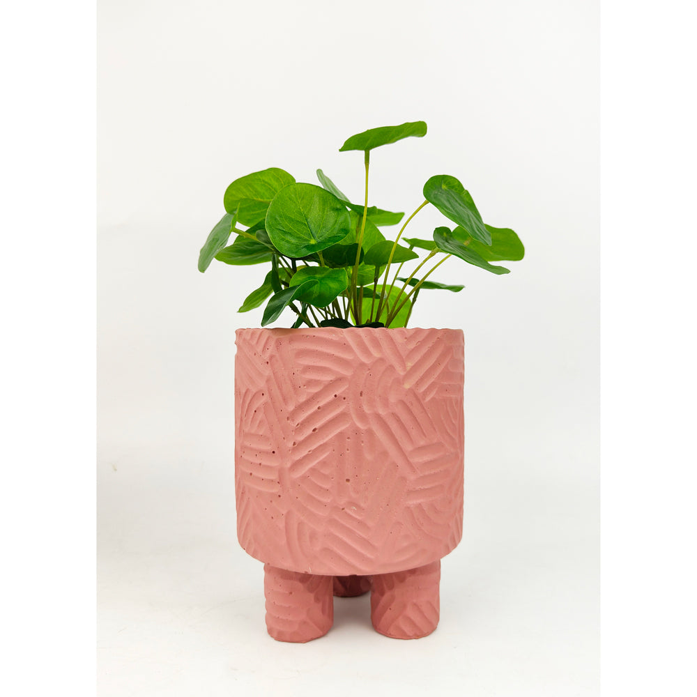 2x Urban Enola 17cm Concrete Medium Planter Pot w/ Legs - Pink