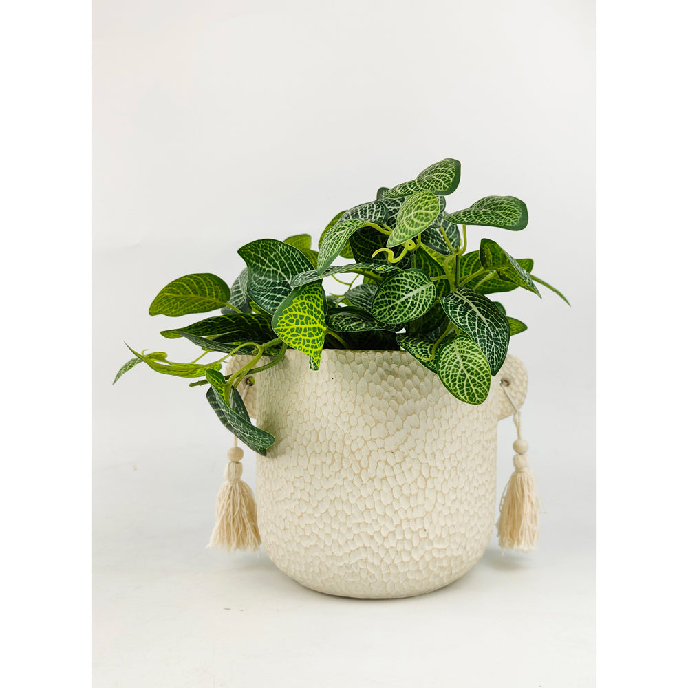 2x Urban Kinsley 16cm Concrete Planter Pot Medium - Cream