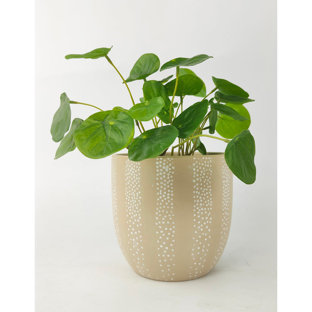 4x Urban Paige Linear 13cm Concrete Planter Pot Small - Beige