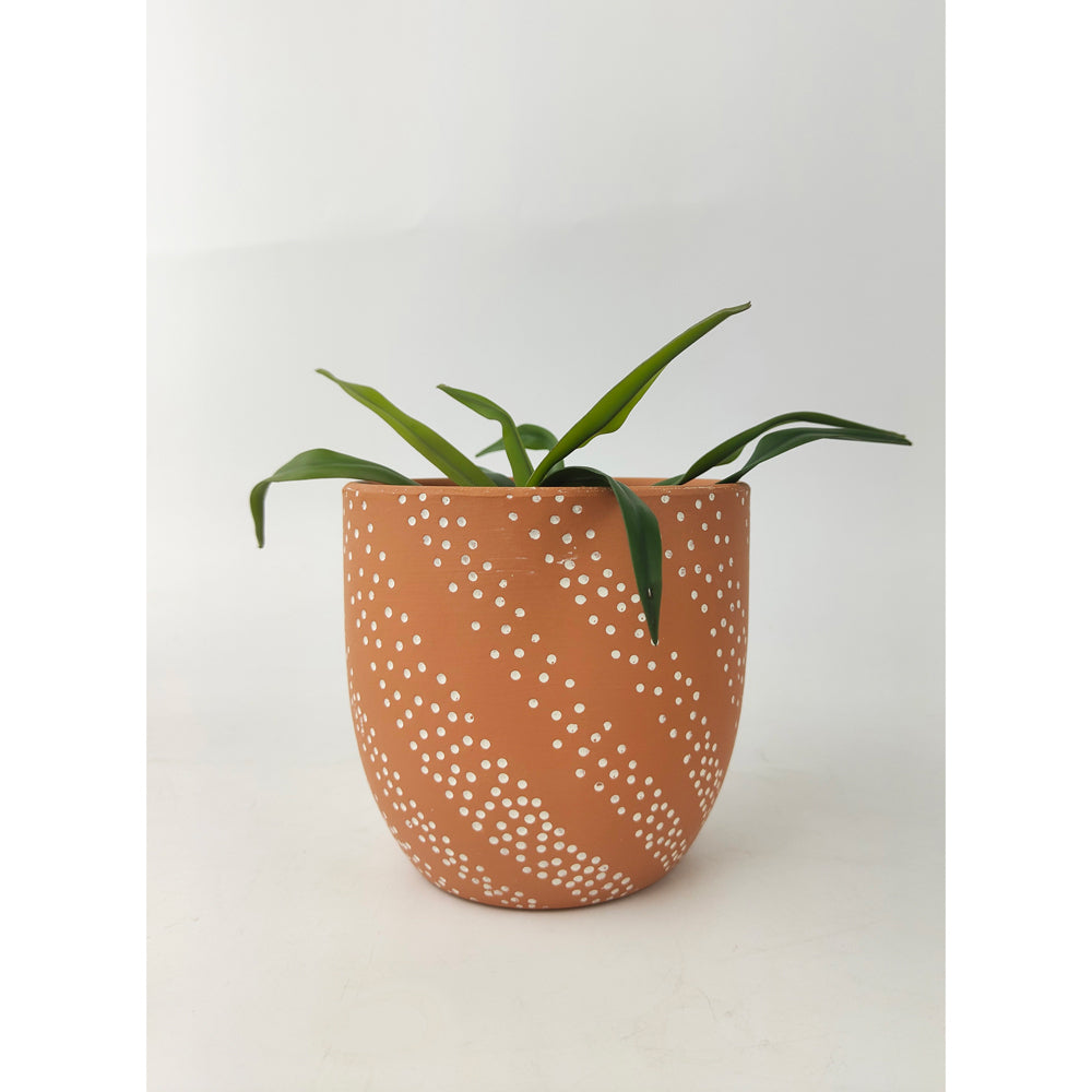 4x Urban Paige Slope 13.5cm Concrete Planter Pot Small - Terracotta