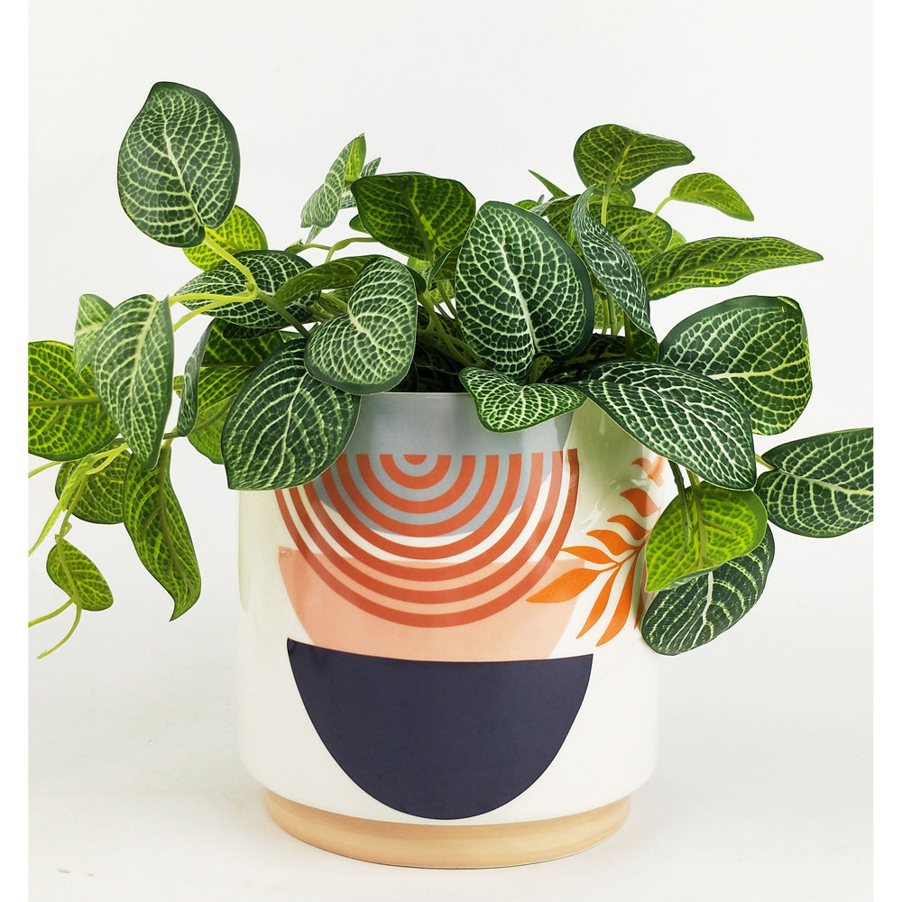 2x Urban Quinn Abstract Rainbow 16cm Ceramic Planter Pot - Medium