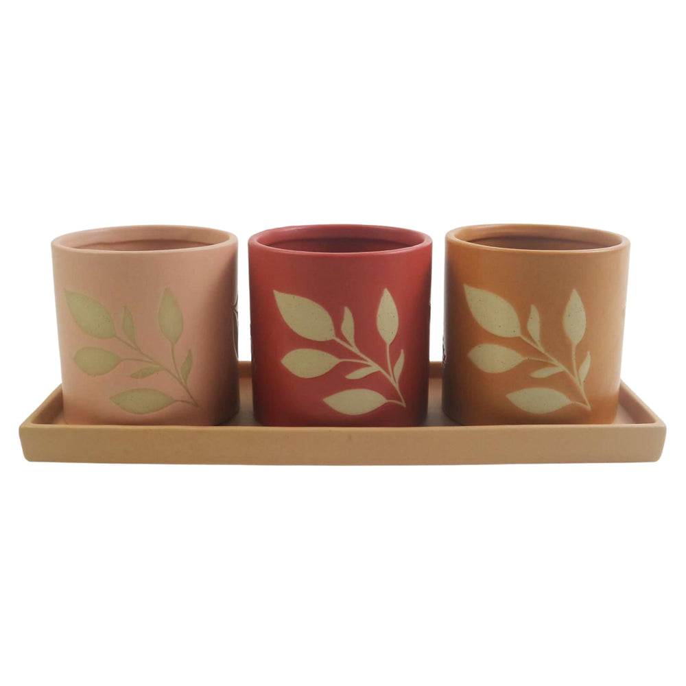 3pc Urban Shae Foliage Ceramic Planters w/ Tray - Pink/Terra/Mstrd