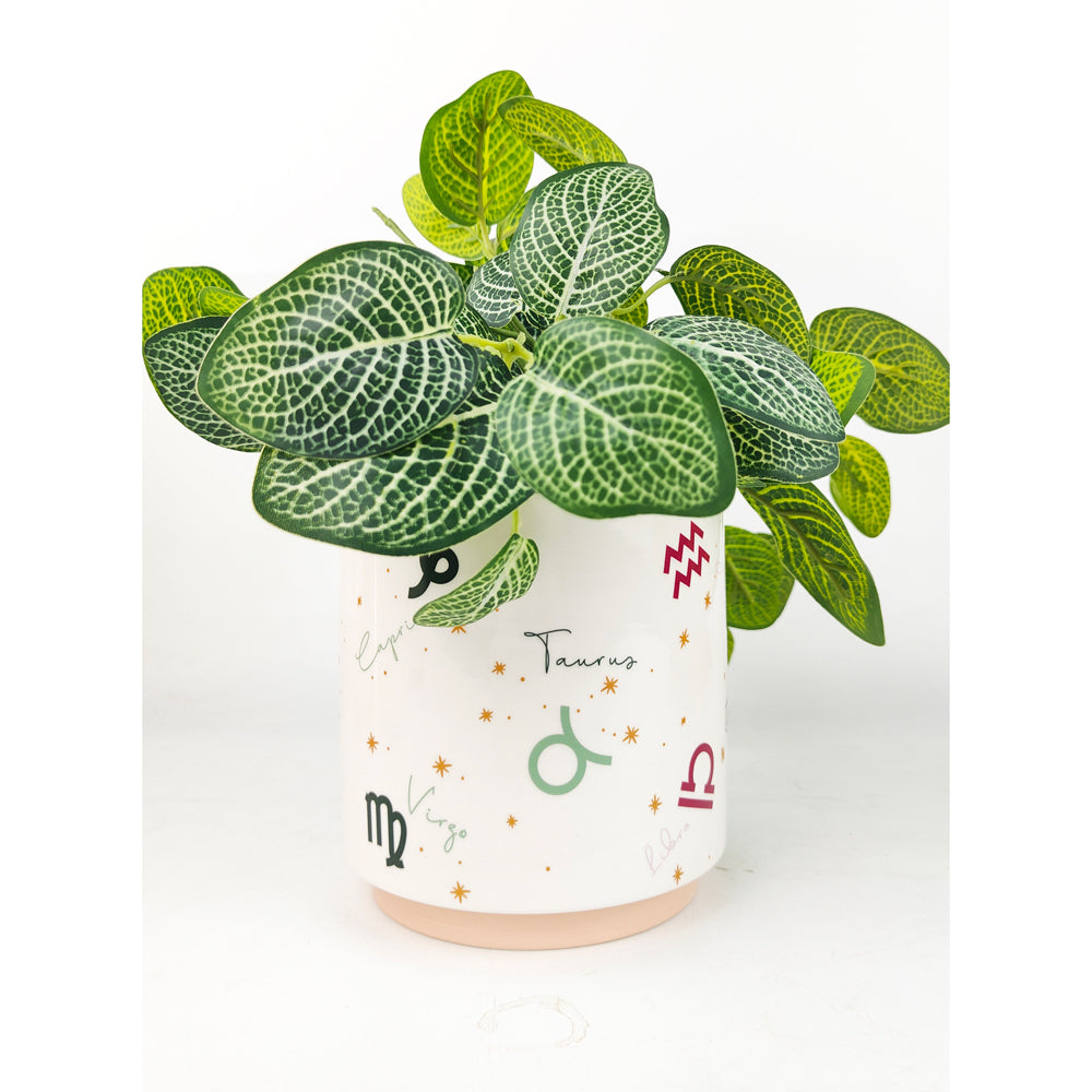 2x Urban Zodiac 13cm Ceramic Planter Colourful Flower Pot - Small