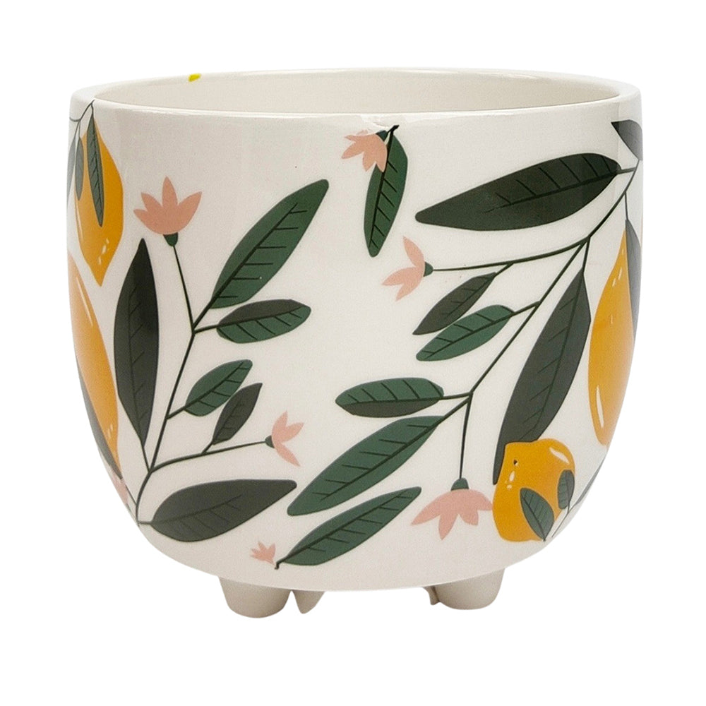 2x Urban 10cm Evergreen Ceramic Planter Plant Pot Small - Yellow/Green
