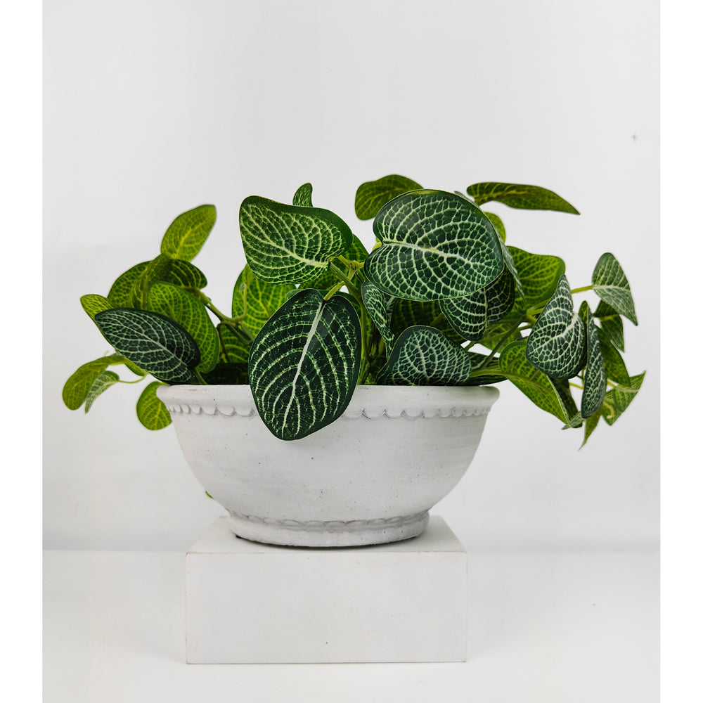 2x Urban Jules H9x21cm Ceramic Planter Pot Medium - White