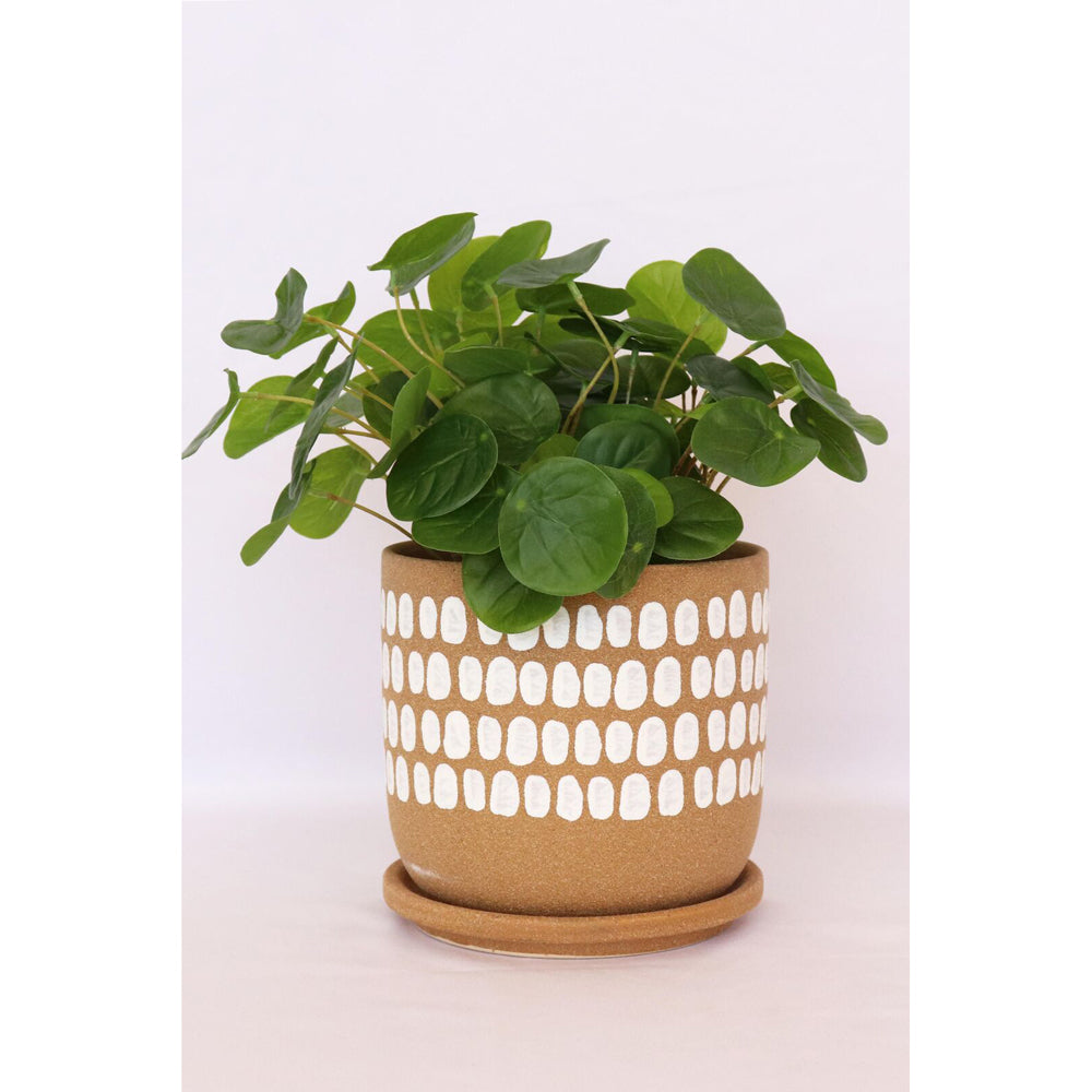2x Urban Tessa 14.5cm Ceramic Dot Planter Pot w/ Saucer Medium - Mocha