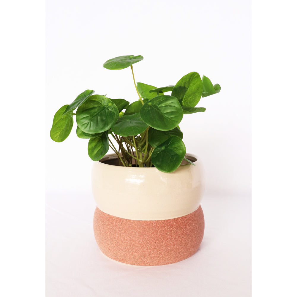 2x Urban Brynn Squat 13cm Ceramic Planter Pot Small - White/Terracotta