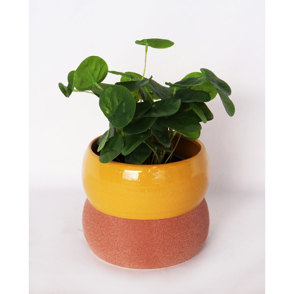 2x Urban Brynn Squat 13cm Ceramic Planter Pot Small - Mustard/Terracotta