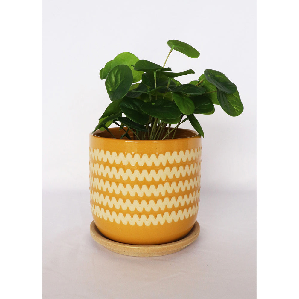 2x Urban Onyx 15cm Ceramic Planter Pot w/ Saucer Medium - Mustard/Sand