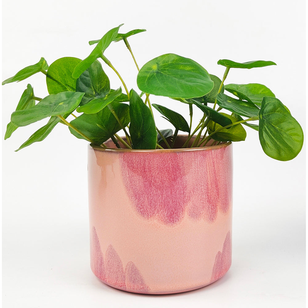 2x Urban 10cm Sofia Ceramic Planter Garden Pot Medium - Pink/Storm