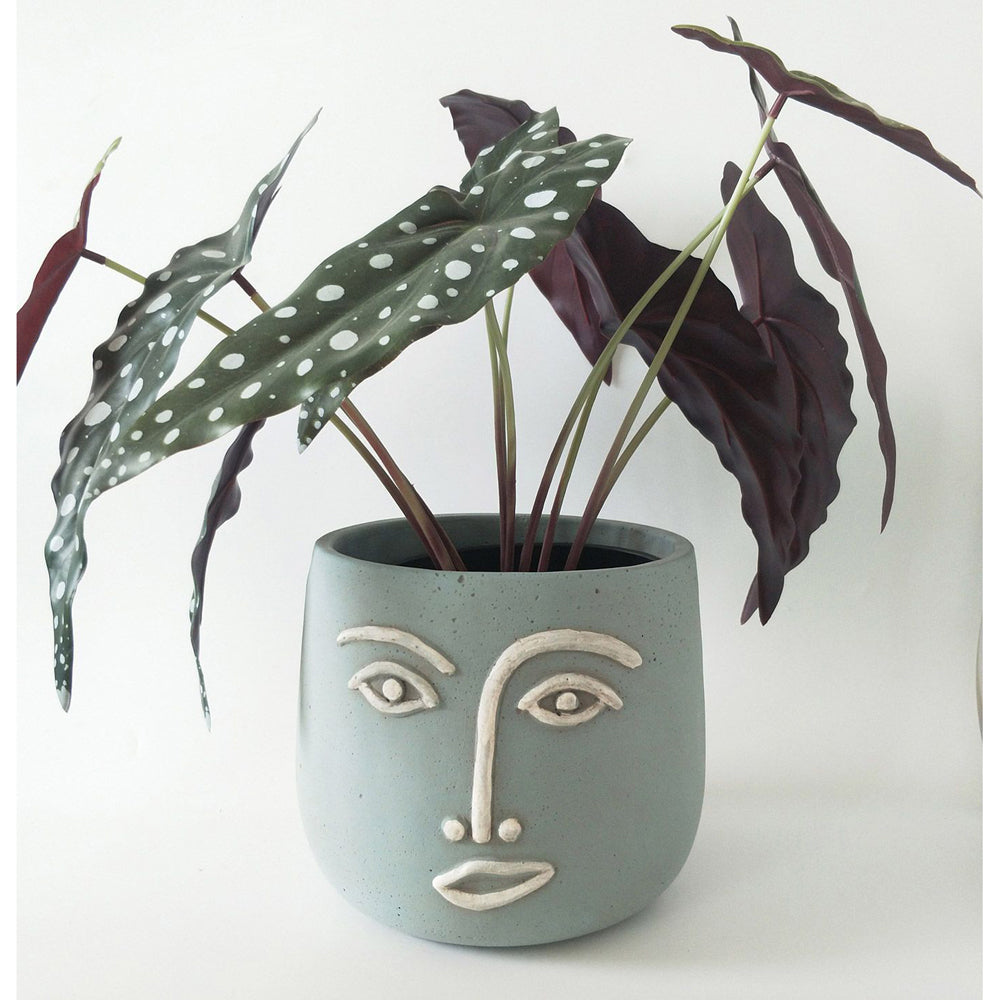 2x Urban 16cm Concrete Face Planter Flower Pot Medium - Blue