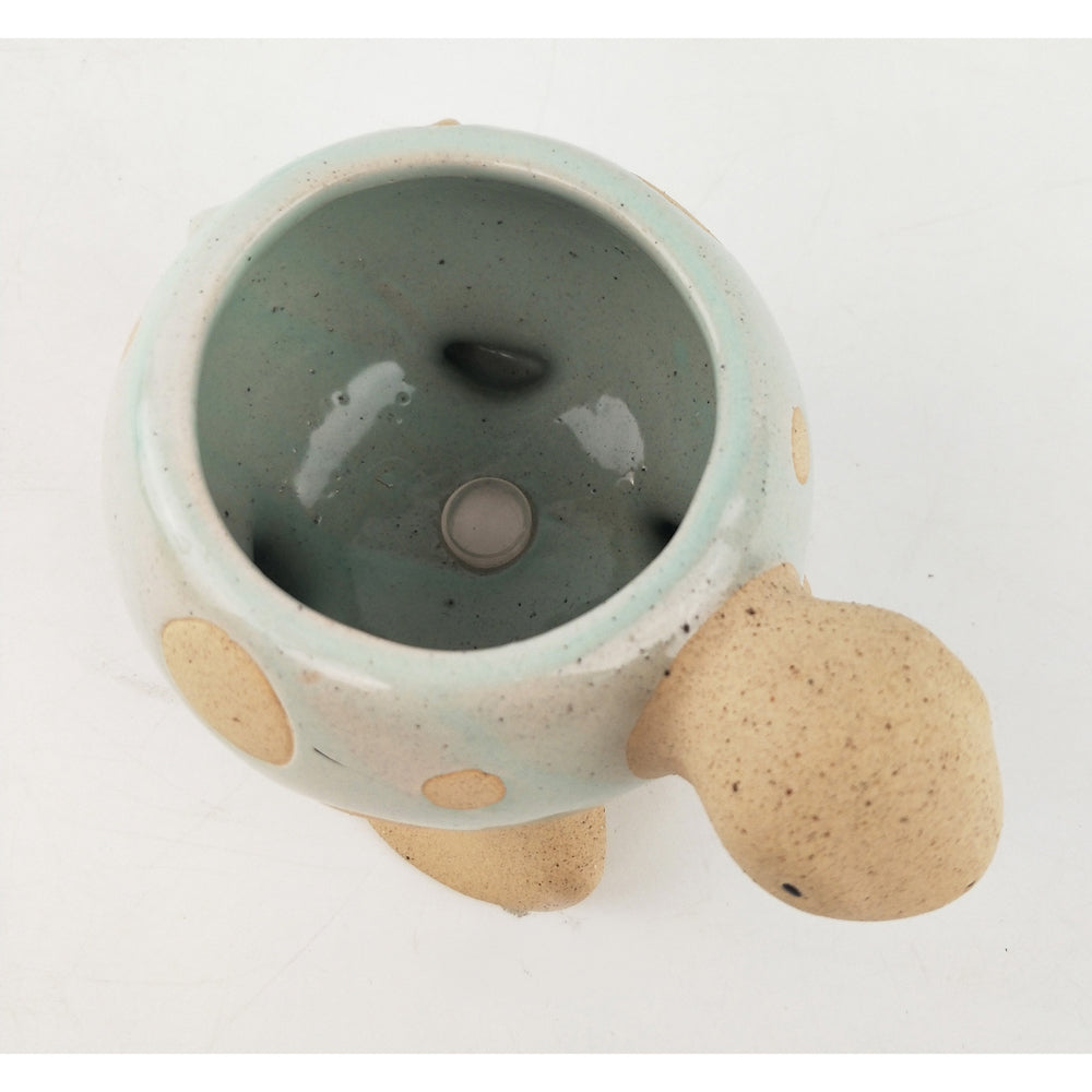 2x Urban Turtle 8cm Ceramic Planter Ornament Display Pot Medium - Light Blue