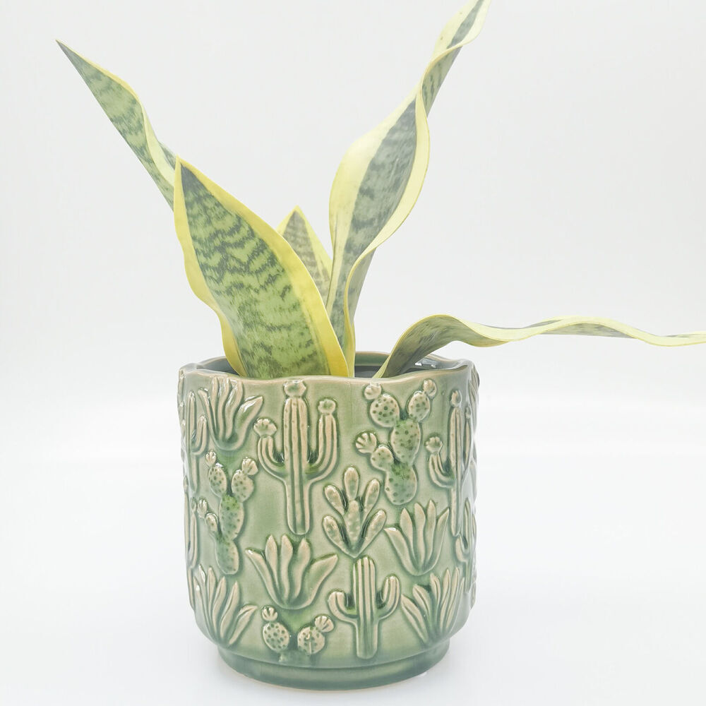 2PK Urban Cactus Stoneware Outdoor Garden Planter Pot 15x14cm Green