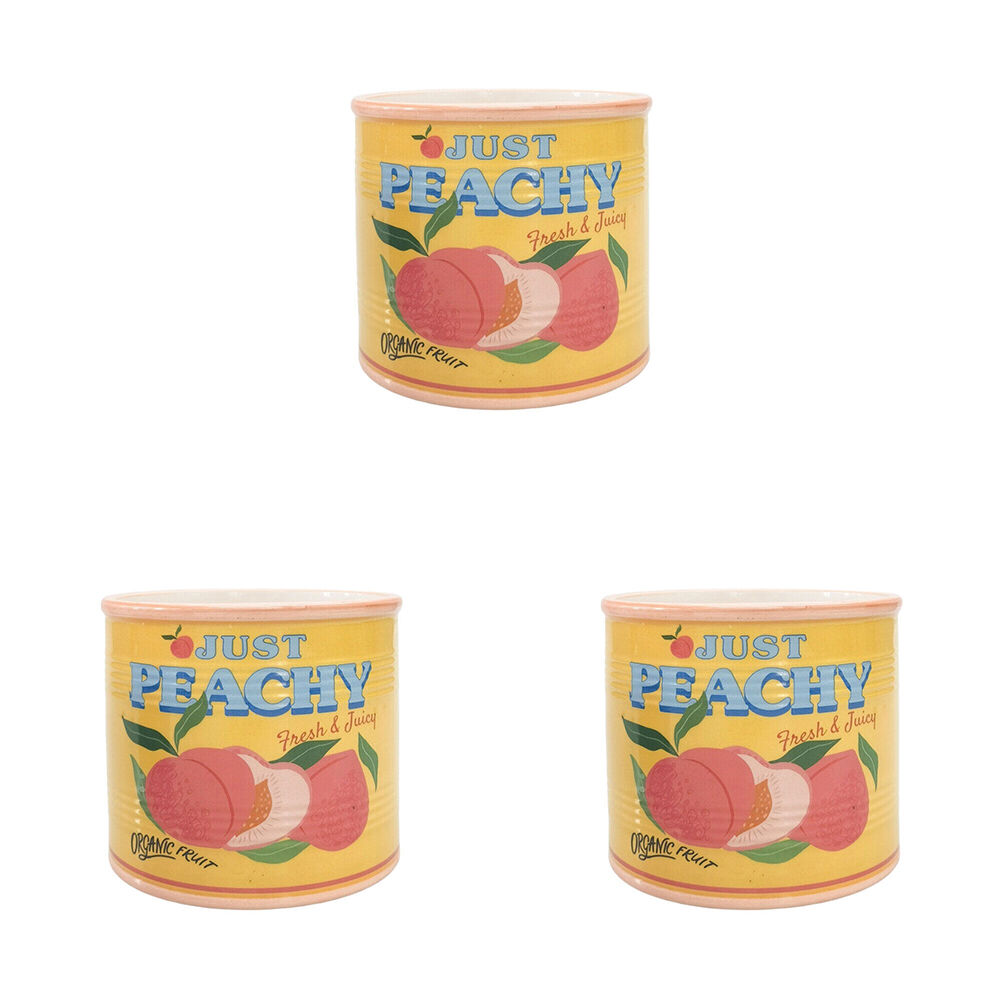 3PK Urban Ceramic Just Peachy Can Outdoor Planter Pot 12x14cm Yellow