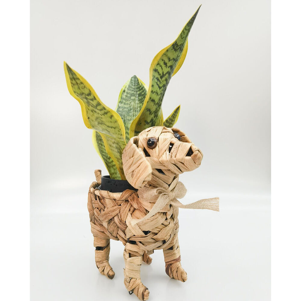 2PK Urban Coconut Fibre Woven Dog Outdoor Planter Pot 29cm Natural