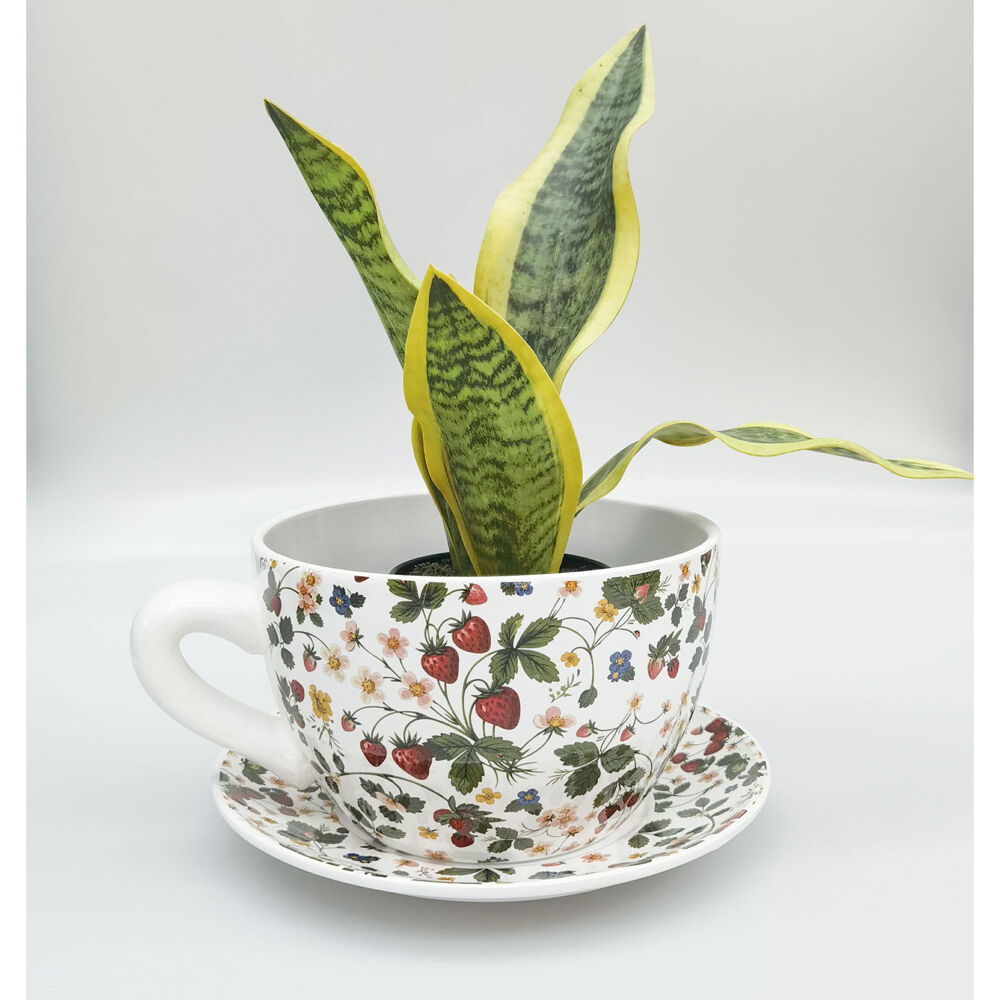 Urban Ceramic Strawberry Fields Tea Cup Outdoor Planter Pot 13x24cm Green/Red