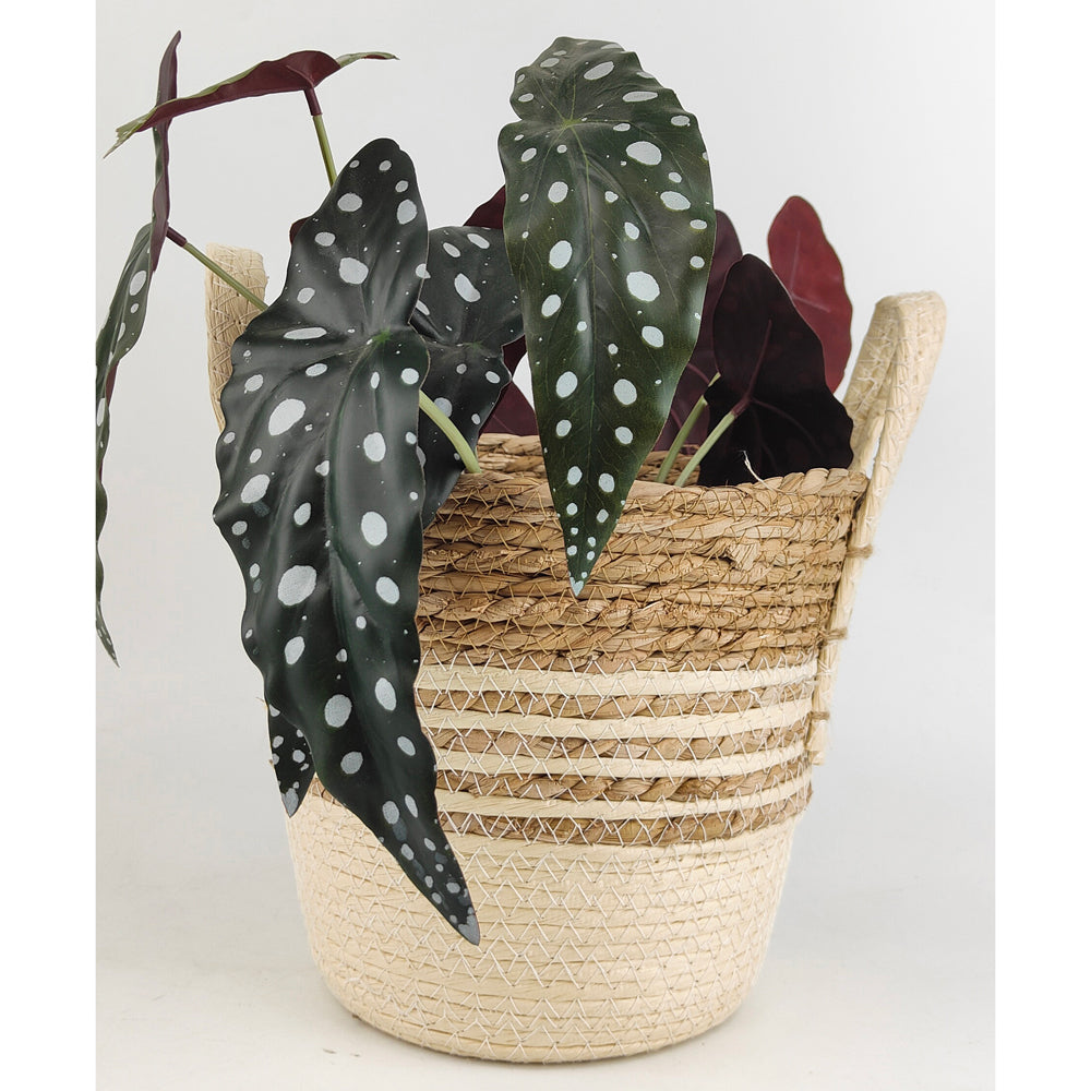 2pc Urban 23cm Basket w/ Handle Home Decor Small/Large - Beige