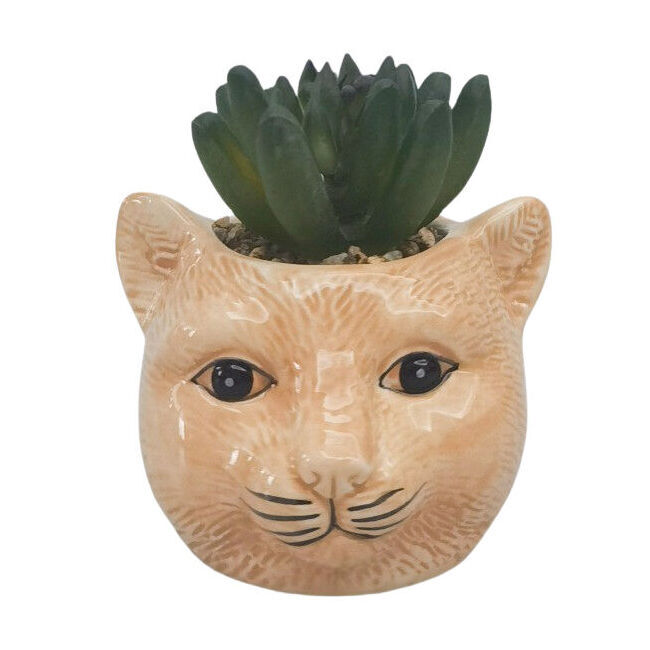 3PK Urban Ceramic Mini Cat Decorative Planter Pot with Plant 10cm Ginger