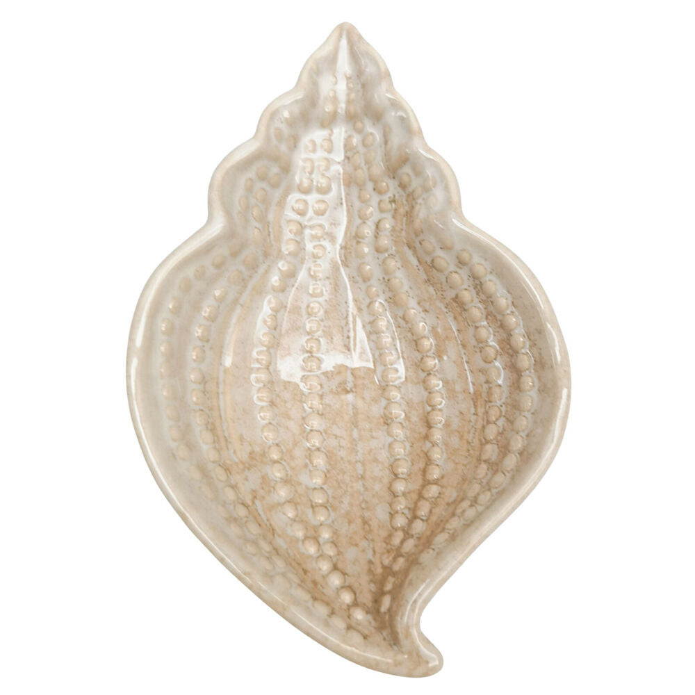 4PK Urban Ceramic Reef Shell Trinket Storage Tray Dish 14x2cm Bisque