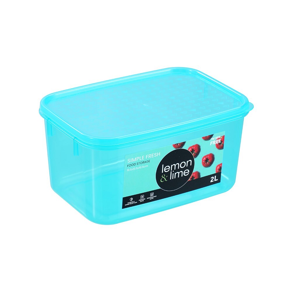 24pc Lemon & Lime 2L Simple Fresh Food Container Assorted
