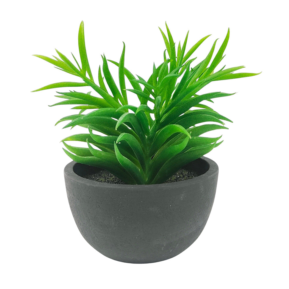 2x Urban Potted 17cm Succulent Artificial Plant - Green