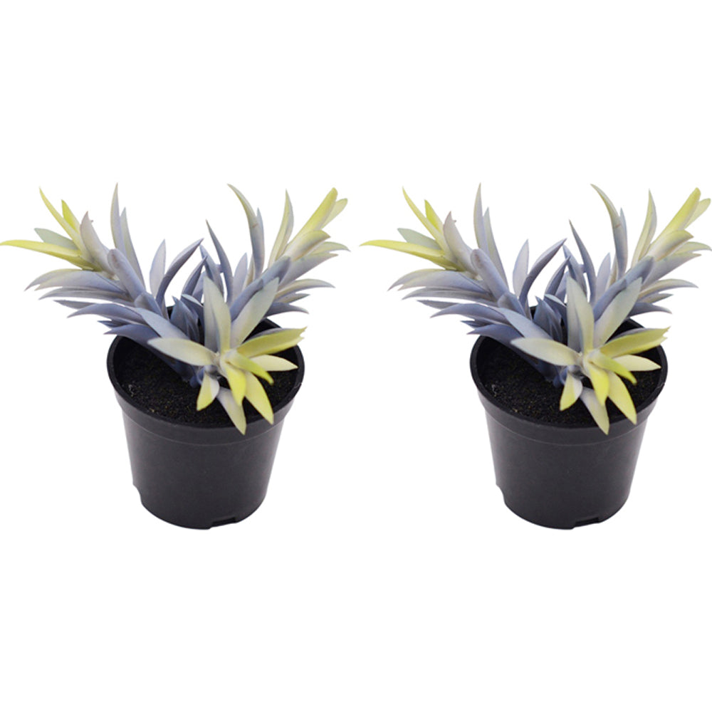 2x Urban 14cm Potted Succulent Artificial Plant - Blue