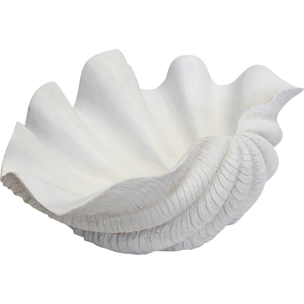 LVD Decorative 66cm Resin Giant Clam Shell/Trinket Decor - White