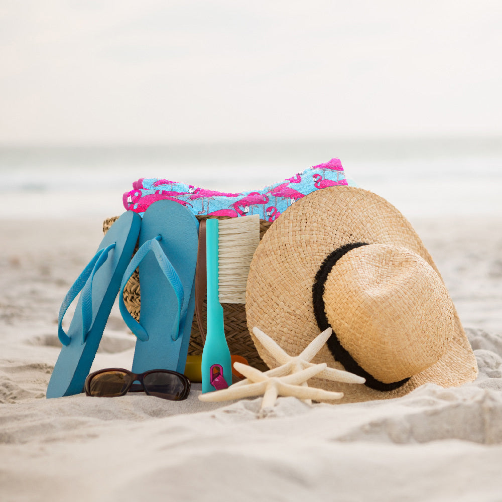 2pc Vigar Beach Brush/Cloth Set Sand Remover Assorted 29cm