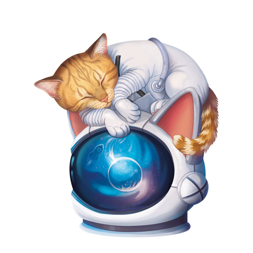 Rebel MLEM Space Agency Strategy Tabletop Board Game 8y+