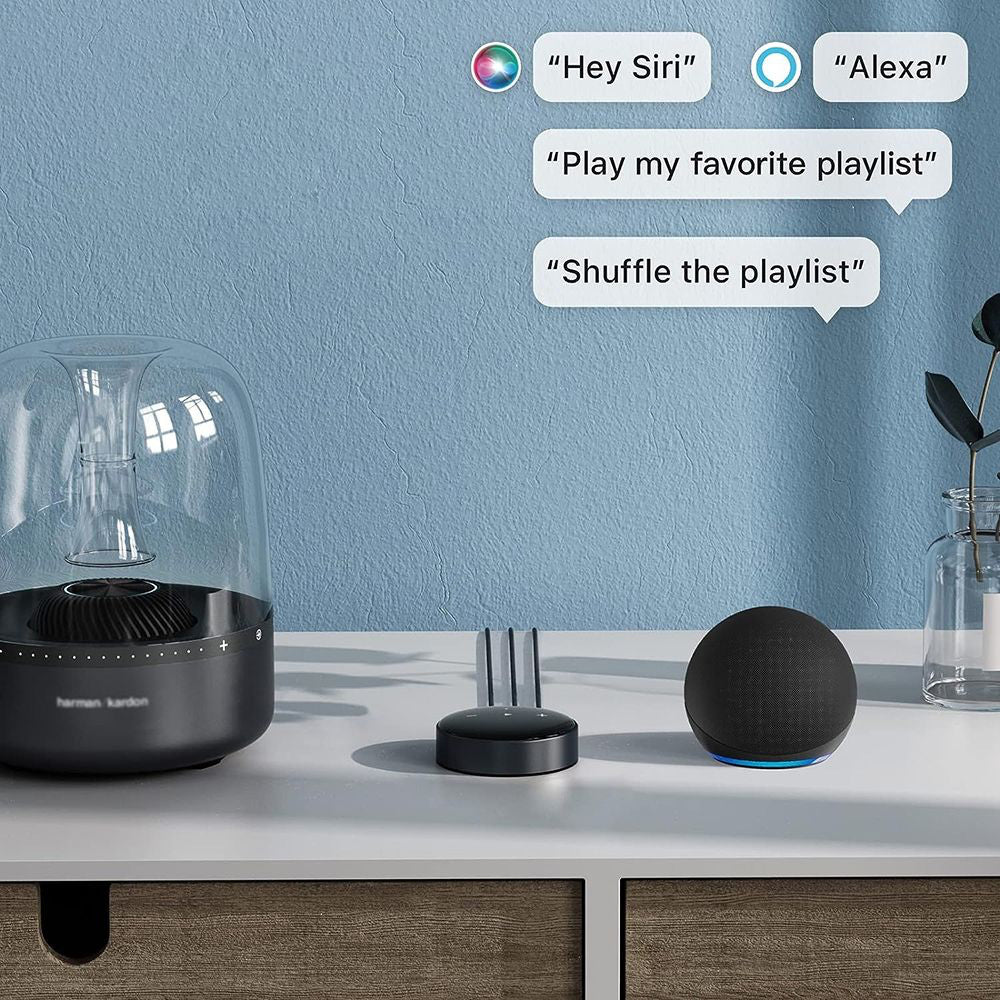 WiiM Mini AirPlay2/Smart Technology Wireless Audio Streamer Receiver