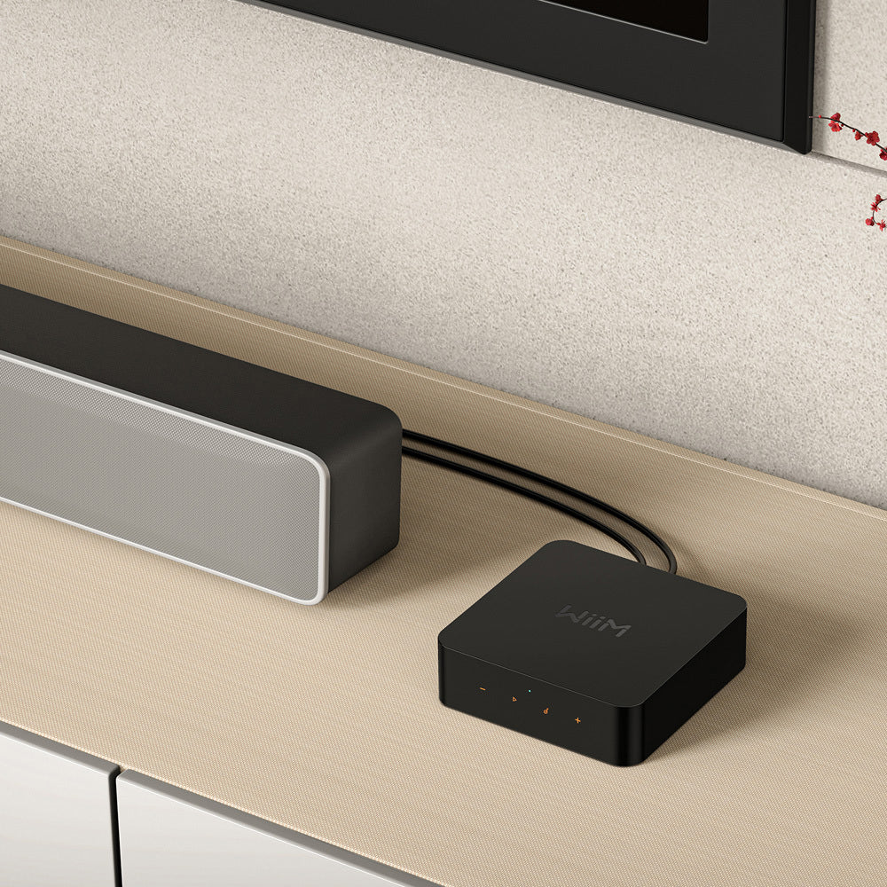 WiiM Pro Wireless Audio Streamer AirPlay 2 & Chromecast - Black