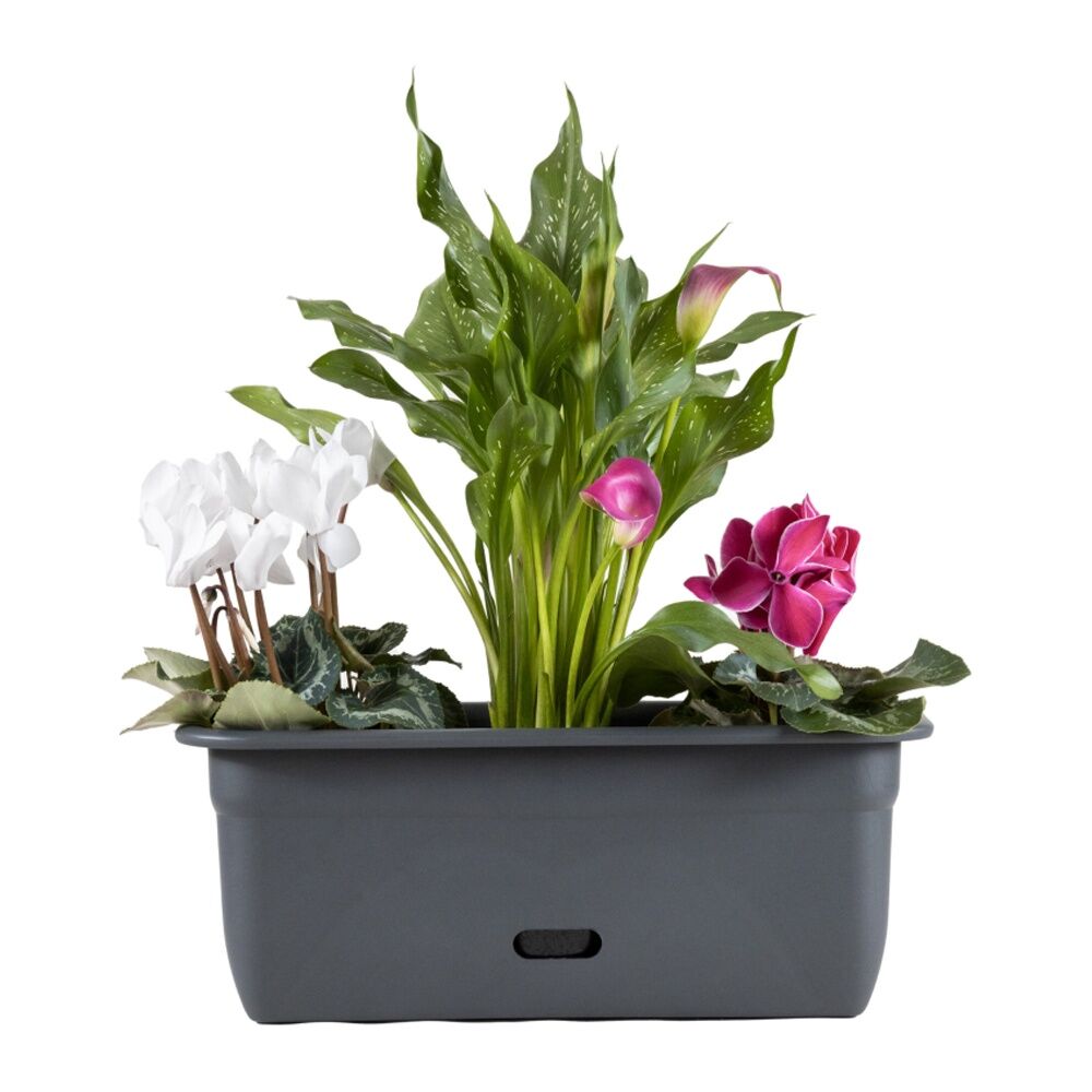 2PK Homeleisure WaterSaver Rectangle Pot Planter 45cm Charc Home Garden