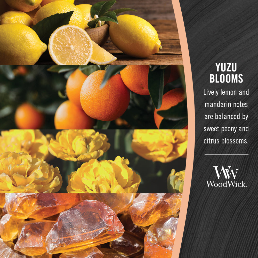 4PK WoodWick Yuzu Blooms Scented Wax Melt Fragrance Cube 9.7oz