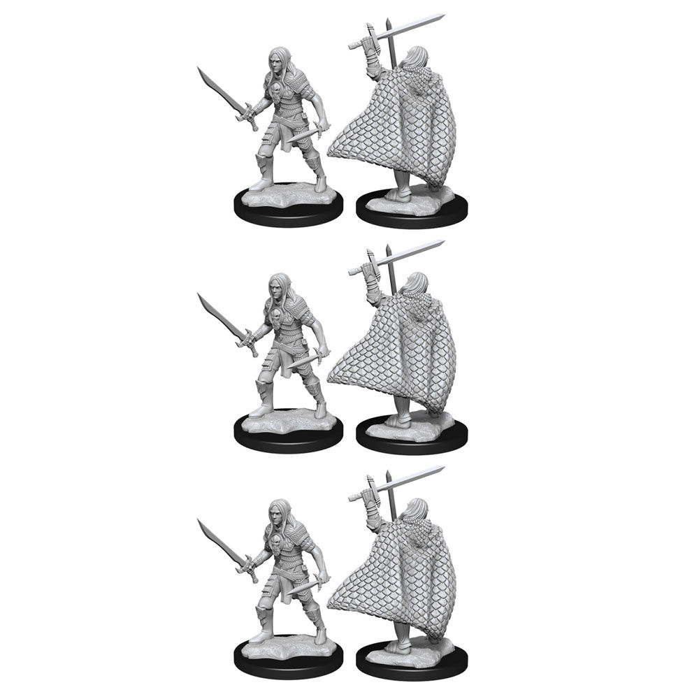 Pathfinder Deep Cuts Unpainted Miniatures Elf Fighter Male