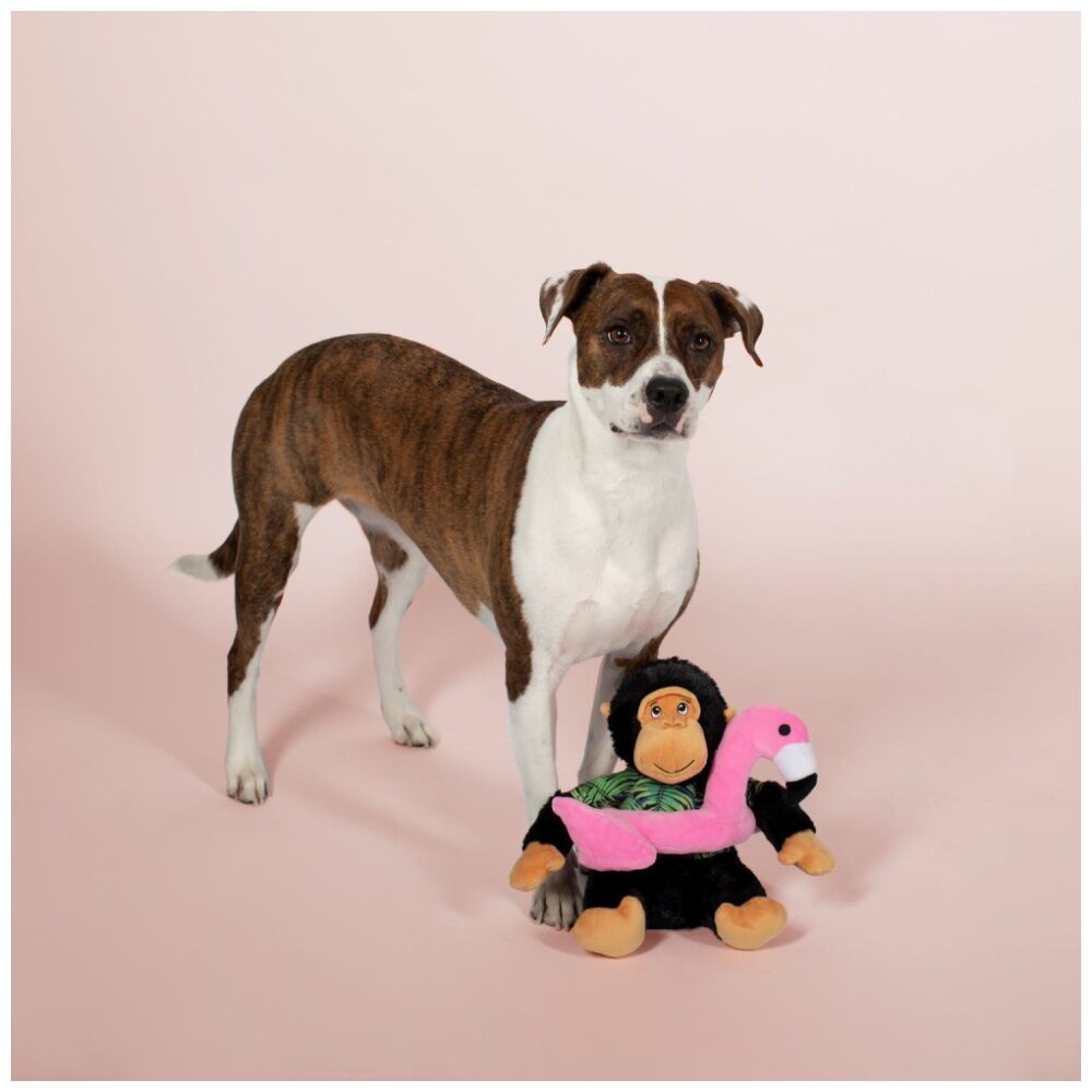 Petshop By Fringe Studio Gregory The Gorilla Plush Dog Toy Extra Large